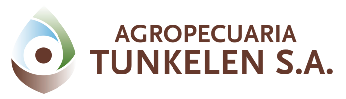 Tunkelen